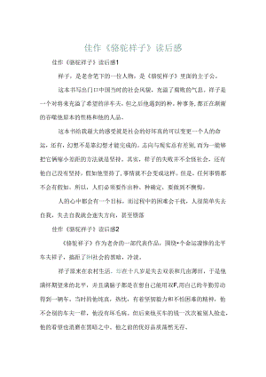 佳作《骆驼祥子》读后感.docx