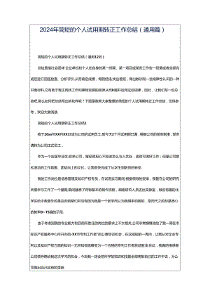 2024年简短的个人试用期转正工作总结（通用篇）.docx