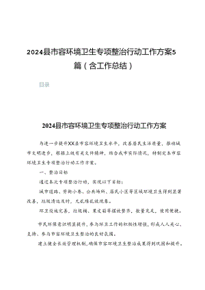 2024县市容环境卫生专项整治行动工作方案5篇（含工作总结）.docx