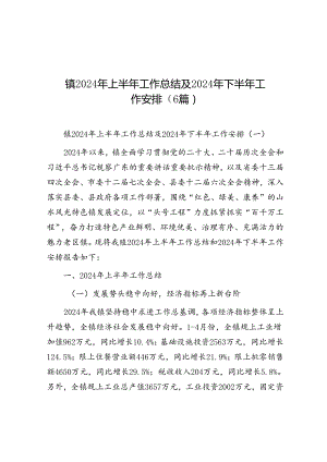 2024年上半年工作总结及2024年下半年工作安排（乡镇）（6篇）.docx