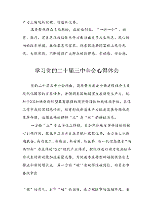 2024年学习学习党的二十届三中全会个人心得感悟 （汇编10份）.docx