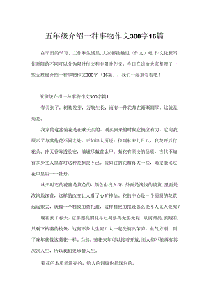 五年级介绍一种事物作文300字16篇.docx