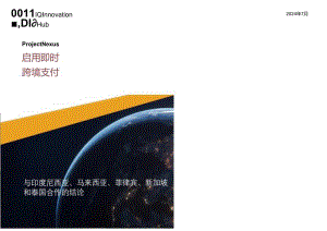 2024 年 Nexus ： 实践即时穿境支付报告.docx