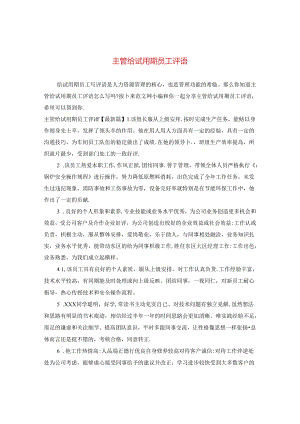 主管给试用期员工评语.docx