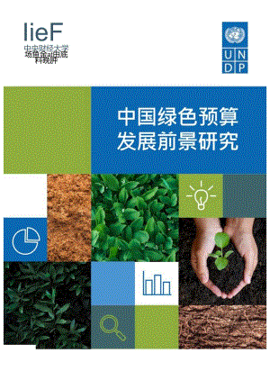 中国绿色预算发展前景研究-中央财经大学&UNDP-2024.5.docx