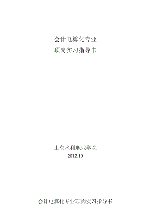 会计电算化专业顶岗实习指导书[1].docx