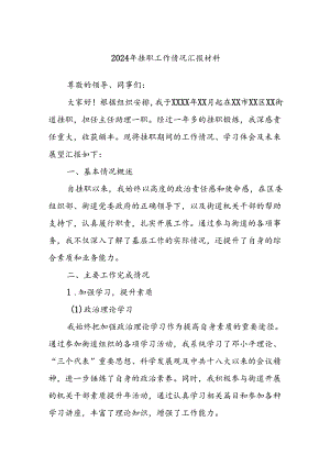 2024年挂职工作情况汇报材料.docx
