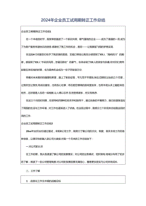 2024年企业员工试用期转正工作总结.docx
