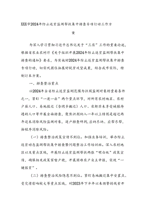 XXX市2024年防止返贫监测帮扶集中排查专项行动工作方案.docx