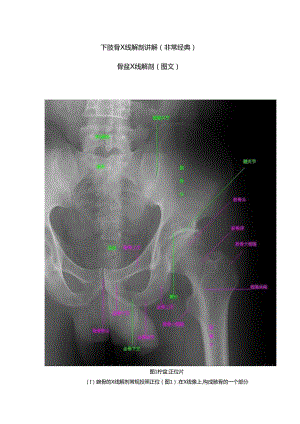下肢骨X线解剖讲解非常经典.docx