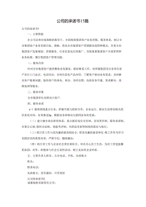 公司的承诺书15篇.docx