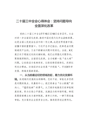 三中全会心得体会坚持问题导向全面深化改革研讨发言材料.docx