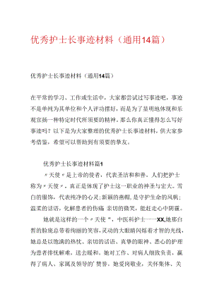 优秀护士长事迹材料（通用14篇）.docx