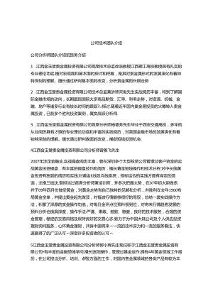 公司技术团队介绍.docx