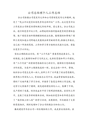 公司总经理个人工作总结.docx