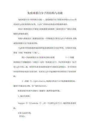 免疫球蛋白分子的结构与功能.docx
