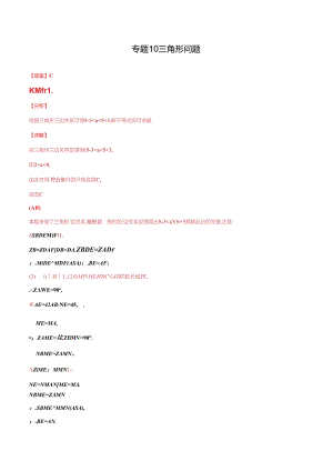 专题10 三角形问题（解析版） .docx