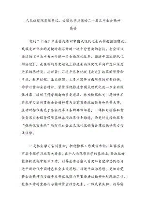 人民检察院党组书记、检察长学习党的二十届三中全会精神感悟.docx