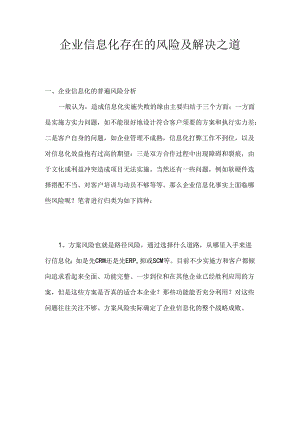 企业信息化存在的风险及解决之道.docx