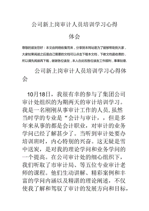 公司新上岗审计人员培训学习心得体会.docx