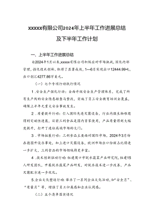 xxxxx有限公司2024年上半年工作进展总结及下半年工作计划.docx