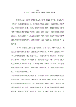 公司拓展训练活动总结.docx