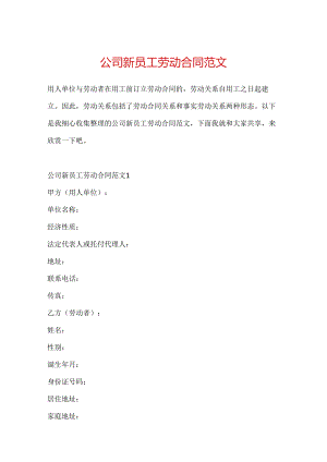 公司新员工劳动合同范文.docx