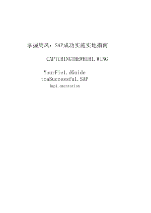 SAP的成功实施指南.docx