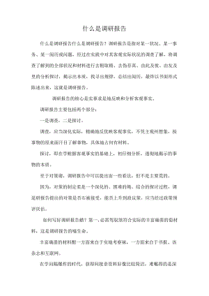 什么是调研报告.docx
