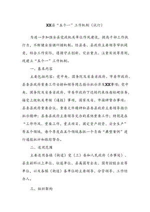 XX县“五个一”工作机制（试行）.docx