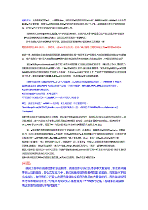 克隆载体与表达载体.docx