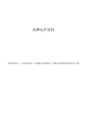 XX电子商务公司的品牌运作资料.docx