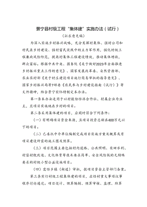 《村级工程“集体建”实施办法（征求意见稿）》.docx