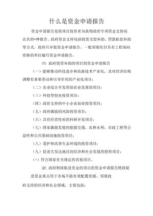 什么是资金申请报告.docx