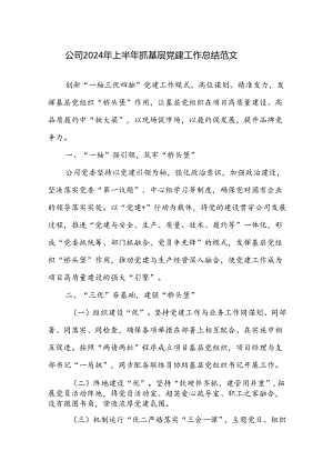 公司2024年上半年抓基层党建工作总结范文.docx