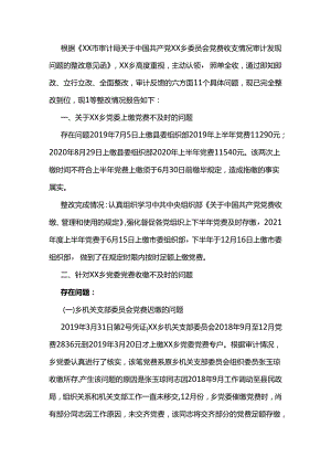 党费收支情况审计发现问题整改报告.docx
