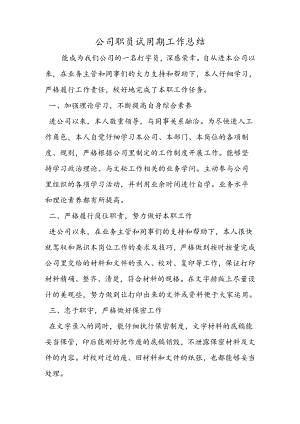 公司职员试用期工作总结.docx