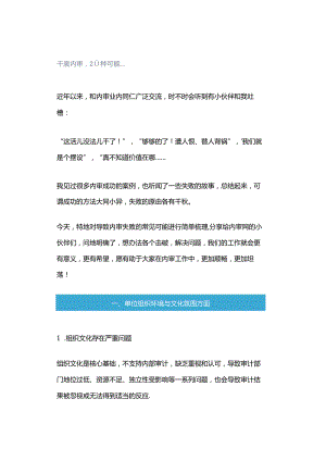 「转」干废内审20种可能….docx