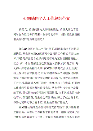 公司销售个人工作总结范文.docx
