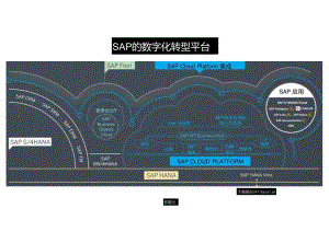 SAP企业信息管理解决方案助力企业数字化转型.docx