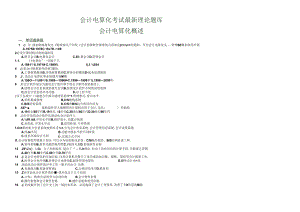 XXXX会计电算化理论试题.docx