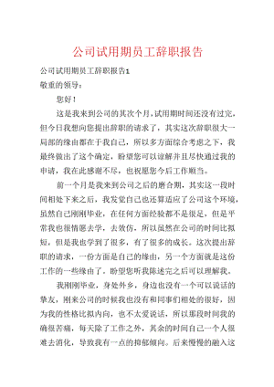 公司试用期员工辞职报告.docx