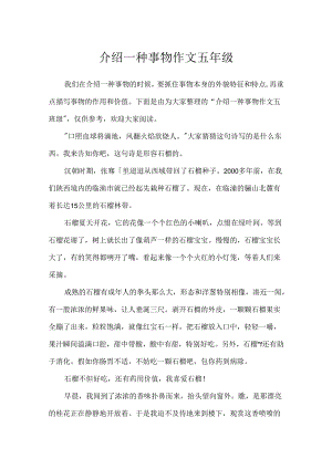 介绍一种事物作文五年级.docx