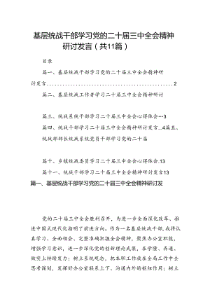 （11篇）基层统战干部学习党的二十届三中全会精神研讨发言（详细版）.docx