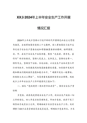 XX乡2024年上半年安全生产工作开展情况汇报.docx
