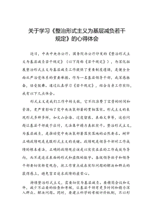 学习《整治形式主义为基层减负若干规定》的心得体会四篇.docx