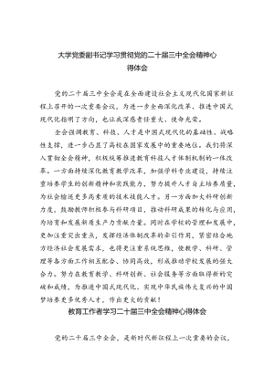 大学党委副书记学习贯彻党的二十届三中全会精神心得体会8篇（精选版）.docx