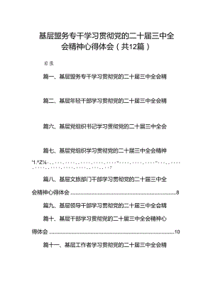 基层盟务专干学习贯彻党的二十届三中全会精神心得体会12篇（详细版）.docx