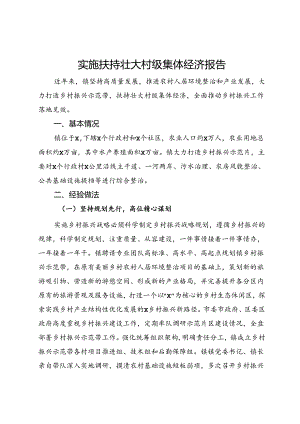 镇实施扶持壮大村级集体经济报告.docx