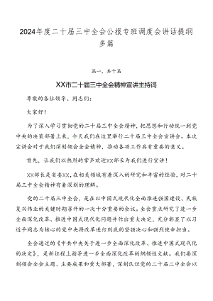 2024年度二十届三中全会公报专班调度会讲话提纲多篇.docx